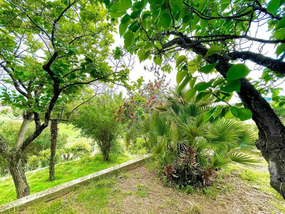 Villa Proche Ajaccio Et Mer Exclusive 2 A 10 Voyageurs Bastelicaccia 外观 照片